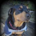 Photo of Honey ** A Divine Girl **
