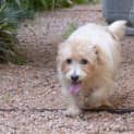 Photo of Milly