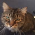 Photo of Mystique