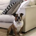 Photo of Barclay