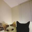 Photo of Felice (Located In Melbourne C B D)