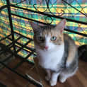 Photo of Molly
