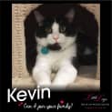 Photo of Kevin