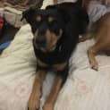 Photo of Honey ** A Divine Girl **