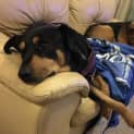 Photo of Honey ** A Divine Girl **