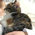 Photo of Peaches ❤Meet Me Sat 15/7 @ Best Friends Preston❤