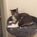 Photo of Olivia