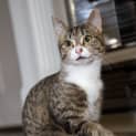 Photo of Jimmy (Meet Me At Neko Hq Preston)