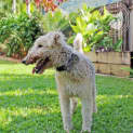 Photo of Milton