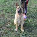 Photo of Blue