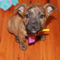 Photo of Siggy