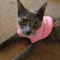 Photo of Queeny