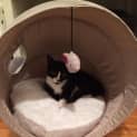 Photo of Bobbins (Meet Me At Neko Hq Preston)