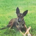 Photo of Jack