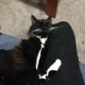Photo of Rick (Meet Me At Neko Hq Preston)