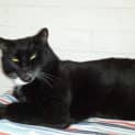 Photo of Fergus