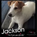 Photo of Jackson