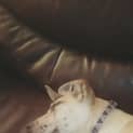 Photo of Lemon 