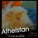 Photo of Athelstan & Horik