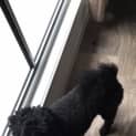 Photo of Susie