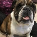 Photo of Turbo