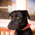 Photo of Bronte