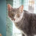 Photo of Hilda