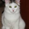 Photo of Ariella 