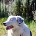 Photo of Cash