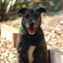 Photo of Max