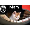 Photo of Mary
