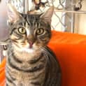 Photo of Valentino