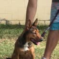 Photo of Maggie