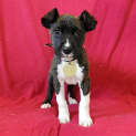 Photo of Zoe