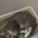 Photo of Ivy