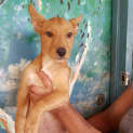 Photo of Grommet