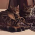Photo of Piper & George