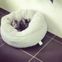Photo of Gemima