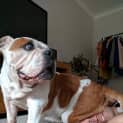 Photo of Molly
