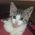 Photo of Thelma