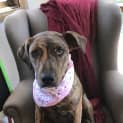 Photo of Lexi