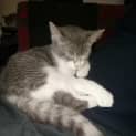 Photo of Ava
