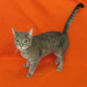Photo of Sparkle