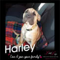 Photo of Harley