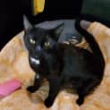 Photo of Jiji