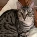Photo of Ferris