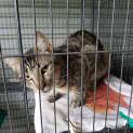 Photo of Bilbo