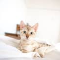 Photo of Audrey