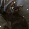 Photo of Jamal