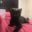 Photo of Jamal
